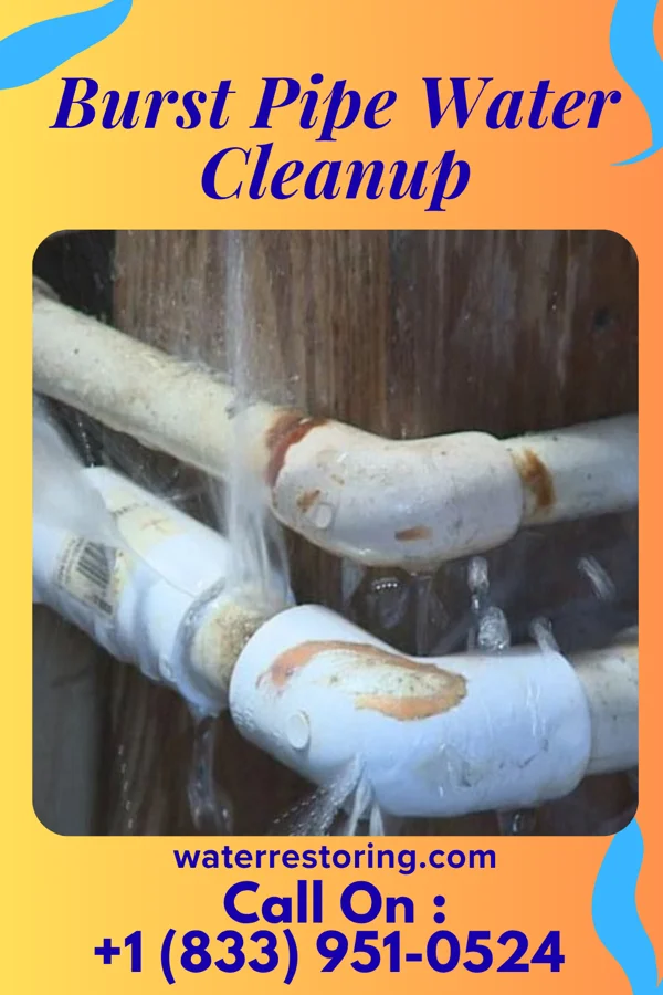 Burst Pipe Water Cleanup in Northfork, WV