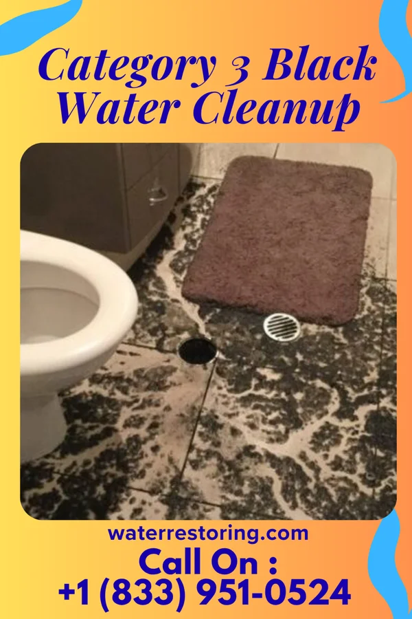 Category 3 Black Water Cleanup in Northfork, WV