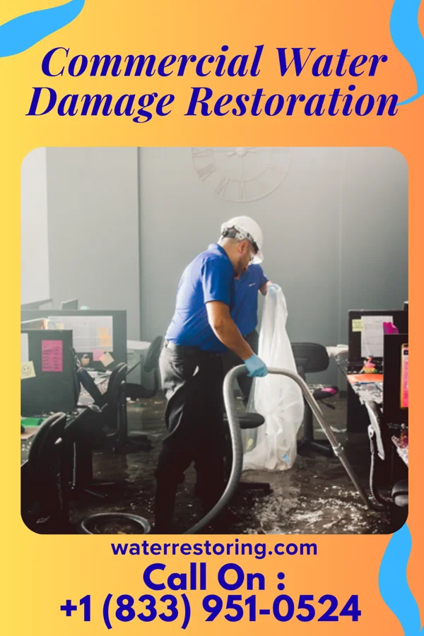 Commercial Water Damage Restoration in Northfork, WV