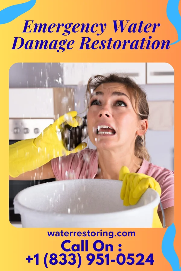 Emergency Water Damage Restoration in Northfork, WV