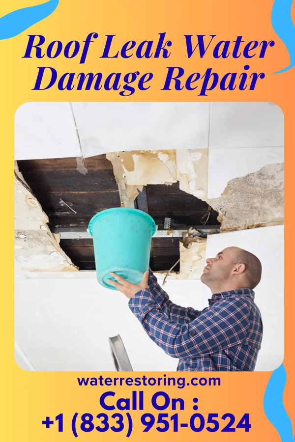 Roof Leak Water Damage Repair in Northfork, WV
