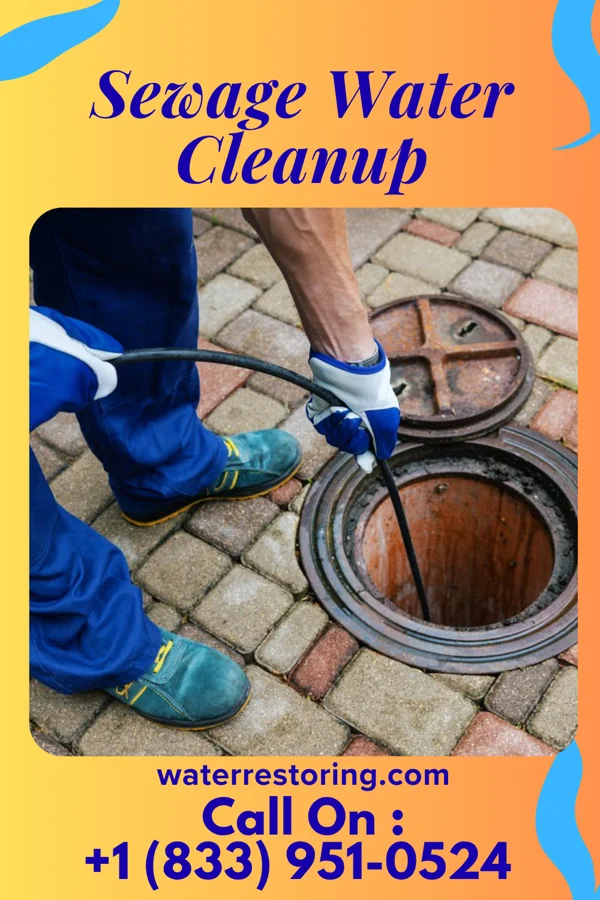 Sewage Water Cleanup in Northfork, WV