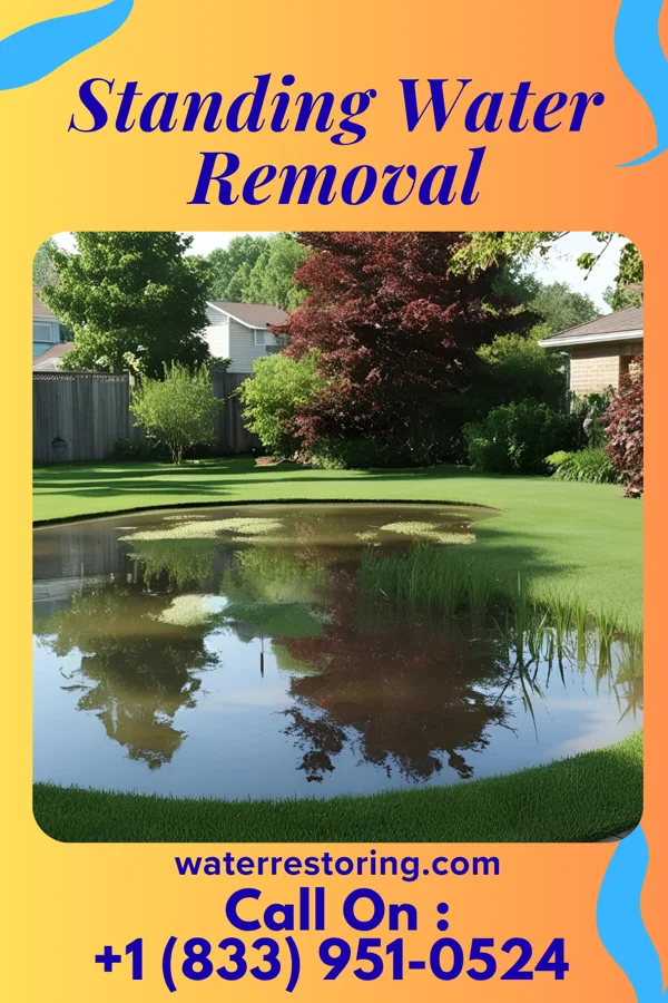 Standing Water Removal in Northfork, WV